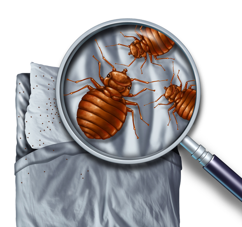 Bed Bugs & Assisted Living Facilities - Peake & Fowler